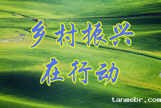 乡村振兴