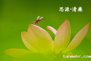 思源清廉